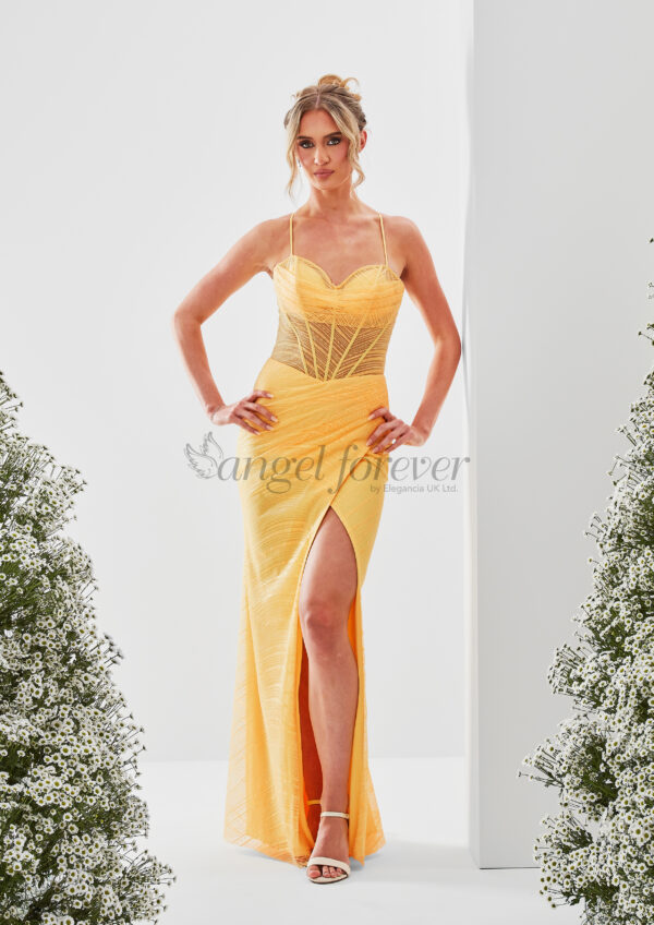 Prom Dress AF5449