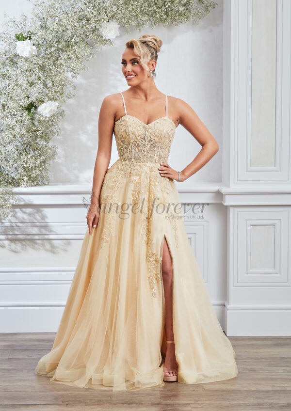 Prom Dress AF5412